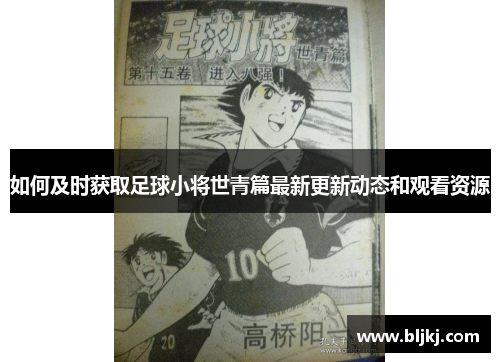 如何及时获取足球小将世青篇最新更新动态和观看资源