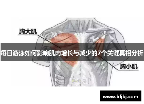 每日游泳如何影响肌肉增长与减少的7个关键真相分析