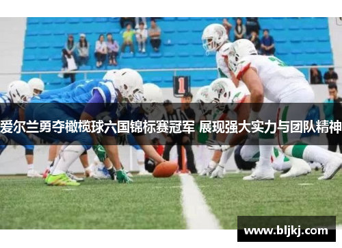 爱尔兰勇夺橄榄球六国锦标赛冠军 展现强大实力与团队精神